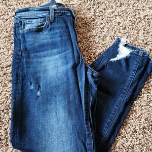 Flying Monkey Distressed Skinny Jeans